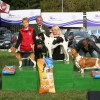 EDS Celje 2010 Candy Best in Show Puppy