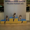 World Dog Show Poznaň