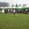 International Dog Show Krakow